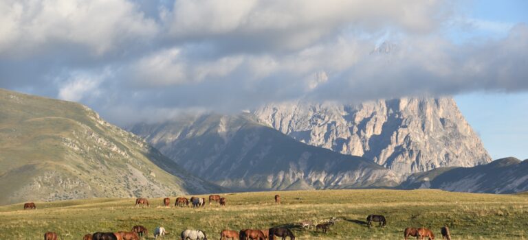 Wilde Natur in den Abruzzen – Campo Imperatore